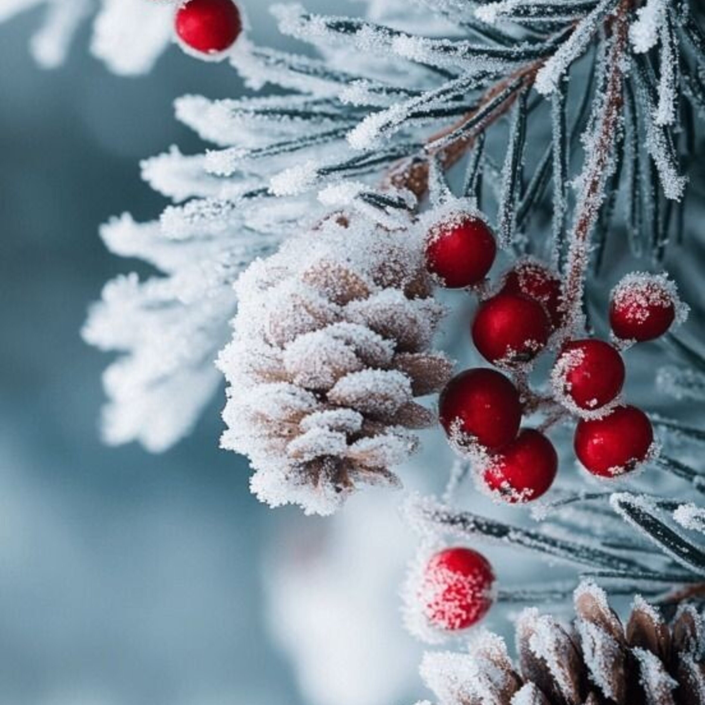 Invierno